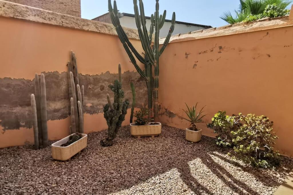 Casa Bretalunya Villa Benissanet Екстериор снимка